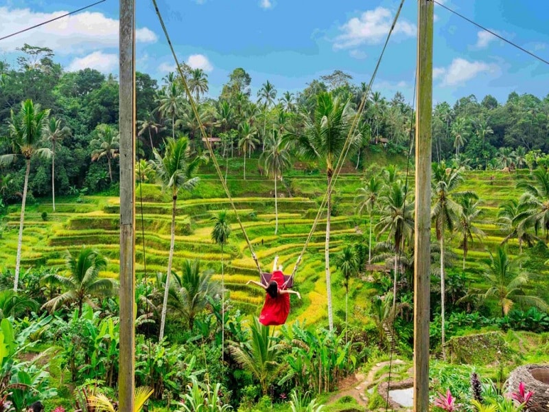 Bali Swing