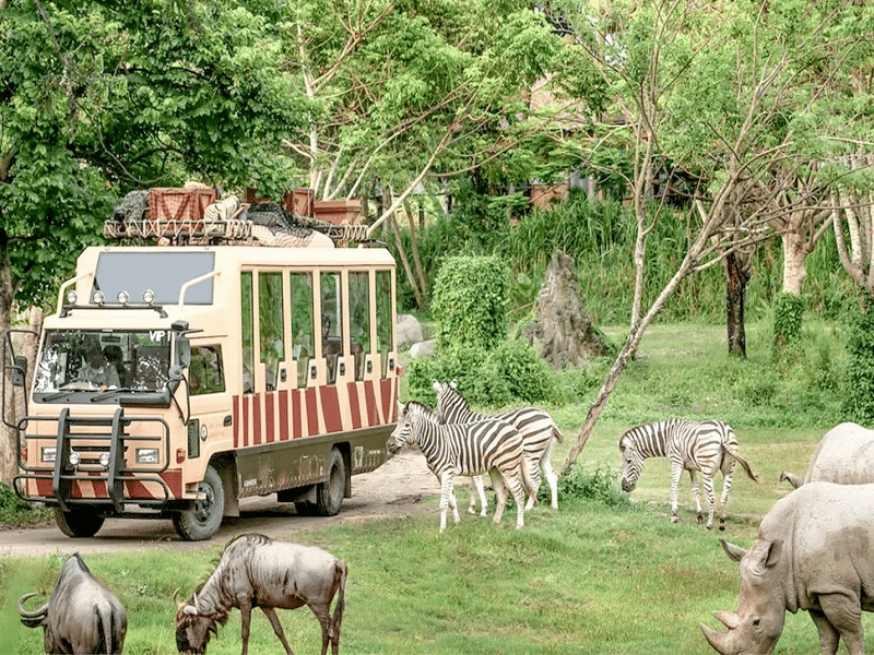 Bali Safari & Marine Park