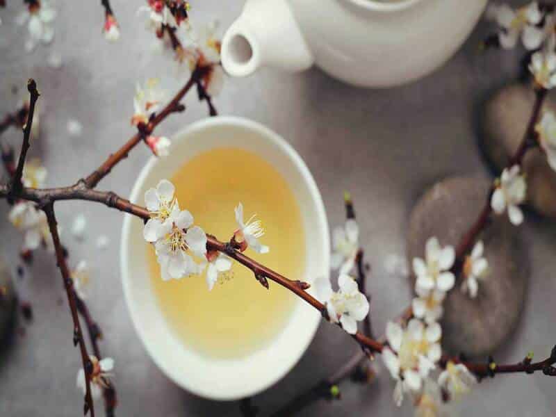 White Tea: The Fat Absorption Blocker